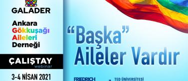 ''Başka'' Aileler Vardır Çalıştayı